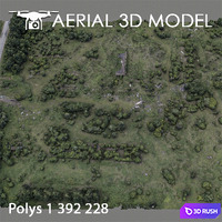 Forest 60 3D Model Vray