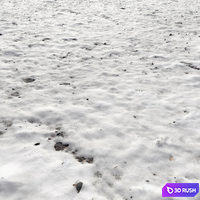 Snow 3D Model Vray