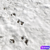 Snow 3D Model Vray
