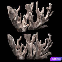 Snag_Decor 3D Model Vray