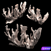 Snag_Decor 3D Model Vray