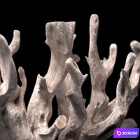 Snag_Decor 3D Model Vray
