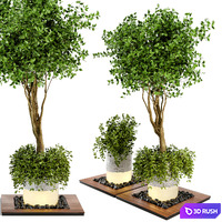 Outdoor Plants bush &amp; Tree Combination of wood &amp; concrete Pot - Garden Set 45 3D Model Vray, Corona