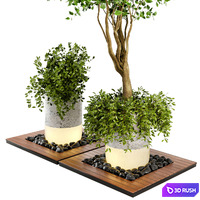 Outdoor Plants bush &amp; Tree Combination of wood &amp; concrete Pot - Garden Set 45 3D Model Vray, Corona