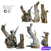 Tree stump _pack_2 3D Model Vray, Corona
