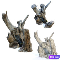 Tree stump _pack_2 3D Model Vray, Corona