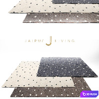 Jaipur Living Contemporary Rug Set 4 3D Model