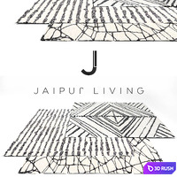 Jaipur living Luxury Rug Set 9 3D Model Vray