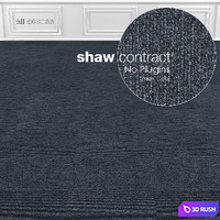 Shaw Carpet All Access Portal Tile No: 1 3D Model Vray
