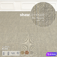 Shaw Carpet Terasu Kusa Wall to Wall Floor No 2 3D Model Vray