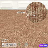 Shaw Carpet Terasu Kusa Wall to Wall Floor No 2 3D Model Vray