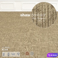 Shaw Carpet Terasu Kusa Wall to Wall Floor No 2 3D Model Vray
