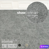 Shaw Carpet Vertical Layers Wall to Wall Floor No 8 3D Model Vray