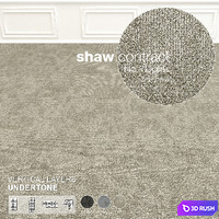 Shaw Carpet Vertical Layers Wall to Wall Floor No 8 3D Model Vray
