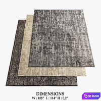 Ditre Italia Rugs_429 3D Model
