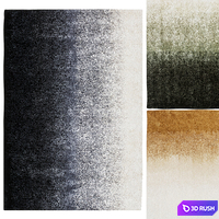 Gradient Rug by Asplund 3D Model Corona