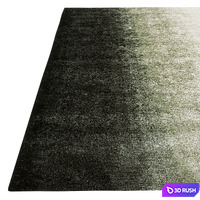 Gradient Rug by Asplund 3D Model Corona