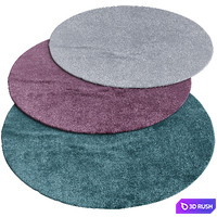 Circle rugs 3D Model Vray
