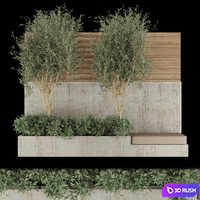 Collection plant vol 196 3D Model
