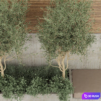 Collection plant vol 196 3D Model Vray, Corona