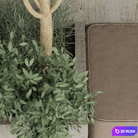 Collection plant vol 196 3D Model Vray, Corona