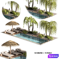 Swimming pools your backyard 3D Model Vray