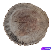 Tree trunk 7 3D Model Vray