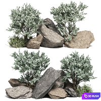 Stone + Bush Pack 2 3D Model Corona