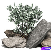 Stone + Bush Pack 2 3D Model Corona