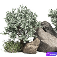 Stone + Bush Pack 2 3D Model Corona