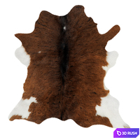 Animal skin rug 13 3D Model Vray