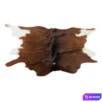 Animal skin rug 13 3D Model Vray