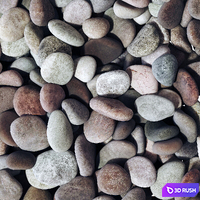 Pebble river low n6 three 3D Model Vray, Corona