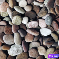 Pebble river low n6 three 3D Model Vray, Corona