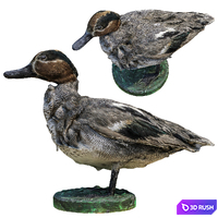 14 Duck 3D Model Vray, Corona