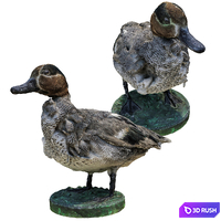 14 Duck 3D Model Vray, Corona