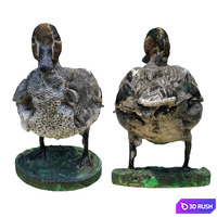 14 Duck 3D Model Vray, Corona