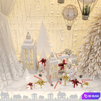 New Year showcase of the wedding salon 3D Model Corona