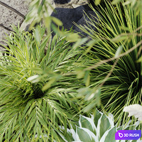 Outdoor plant set 05 3D Model Vray, Corona