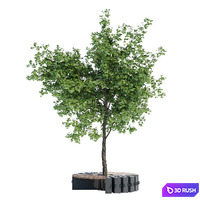 Round B 3D Model Vray, Corona