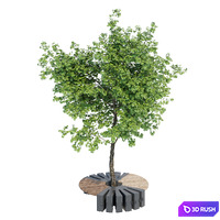 Round B 3D Model Vray, Corona