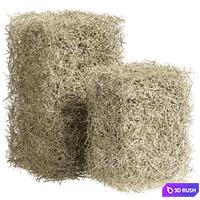 Bales of hay 3D Model Corona