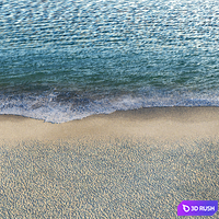 Surf on the beach 3D Model Corona
