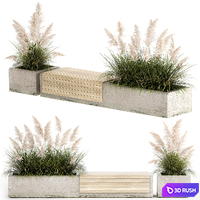 Bench flowerbed for the urban environment in a concrete flowerpot with bushes of reeds and pampas grass, Cortaderia. 1144. 3D Model Vray