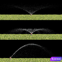 Watering the lawn 3D Model Corona