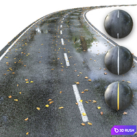 Wet road with markings. Autumn 3D Model Vray, Corona