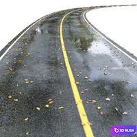 Wet road with markings. Autumn 3D Model Vray, Corona