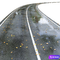 Wet road with markings. Autumn 3D Model Vray, Corona