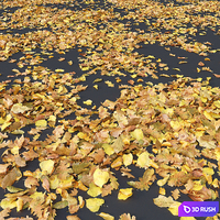 Autumn leaves. yellow 3D Model Vray, Corona