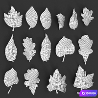 Autumn leaves. yellow 3D Model Vray, Corona